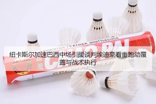 纽卡斯尔加速巴西中场引援谈判埃迪豪看重跑动覆盖与战术执行